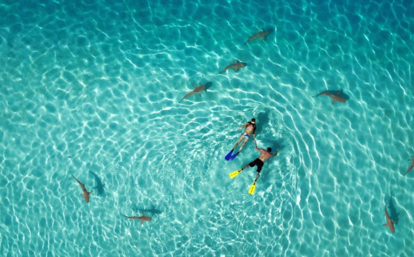 Tahiti remporte le 1er prix d'un concours de photos par drone
