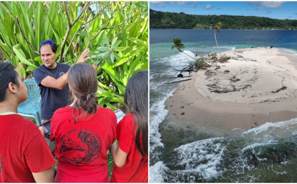 Mission végétalisation au motu Nono