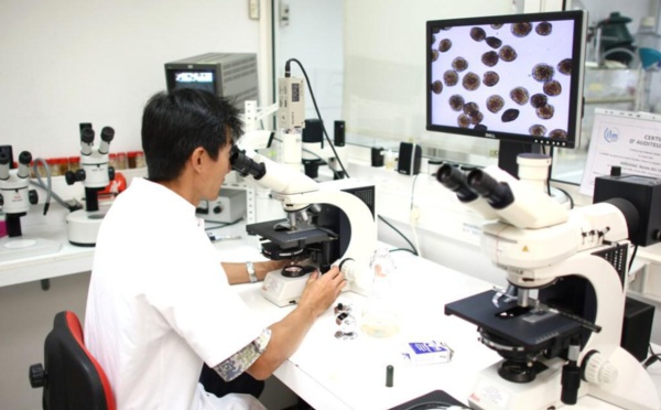 Le site ciguatera-online séduit à l'international