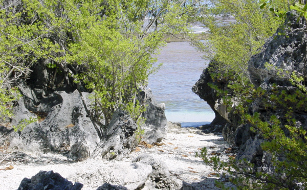 A la découverte des flots tumultueux de Tikehau avec Tahiti Heritage