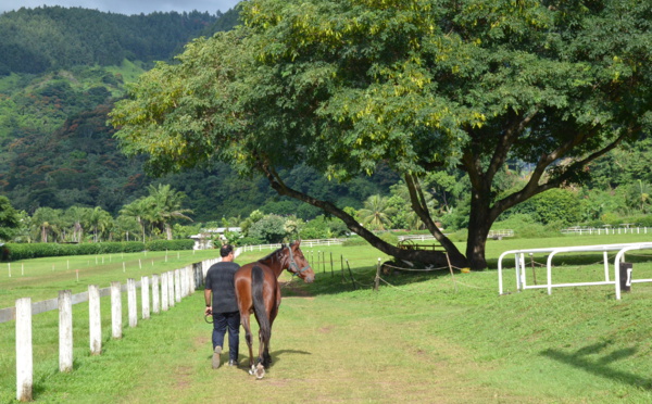 ​Santé, canassons et électricité en question à l'assemblée