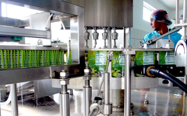 Teipora noni s'attaque au marché américain