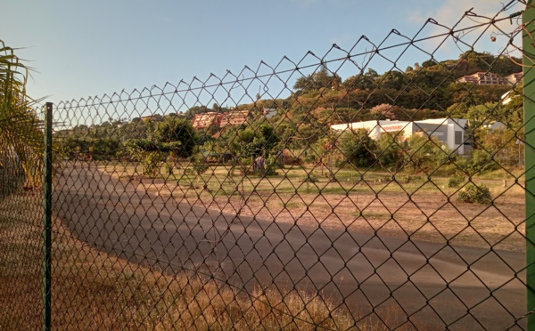 ​Un marché municipal à Punaauia en 2025