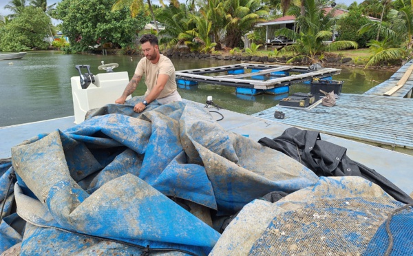 Toa Vivish : “La filière est en danger”