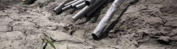 USA: la consommation d'eau en Californie réduite au-delà des 25% visés