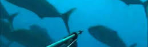 Un pêcheur en apnée se noie à Taha’a, son corps coincé dans une galerie par 12 m de fond