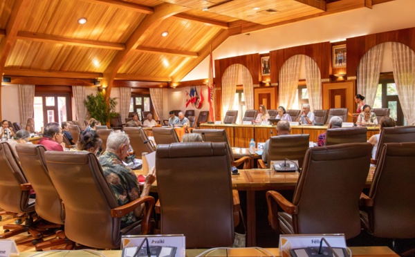 Projet de loi sur les aides à l'emploi : le Cesec “frustré” 