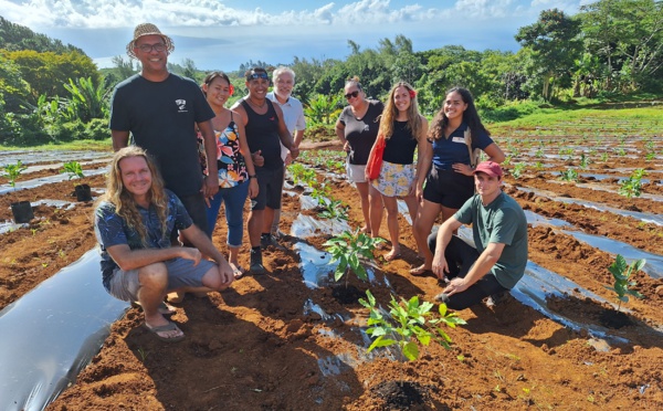 Relancer la filière du café local