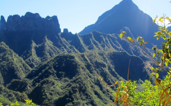 Les plateaux des orangers ouverts au public jusqu'au 16 août