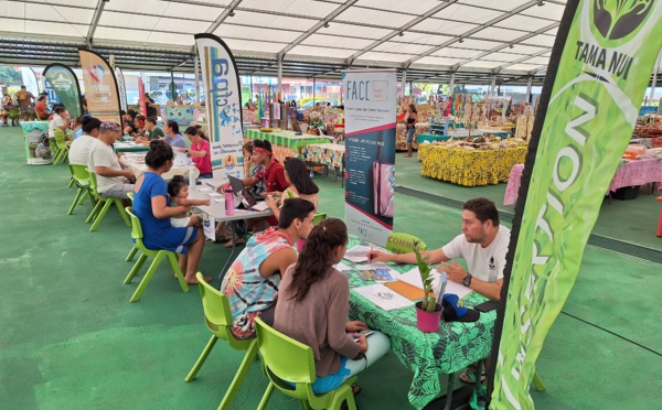 Papara face au défi de l’insertion