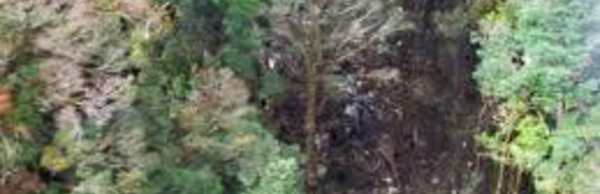 Indonésie: le mauvais temps empêche les secours d'atteindre le site du crash de l'avion