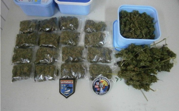 En rogne, elle guide les gendarmes jusqu’aux réserves de paka de son tane