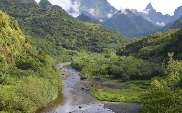 Un projet de complexe écotouristique dans la haute vallée de Papenoo