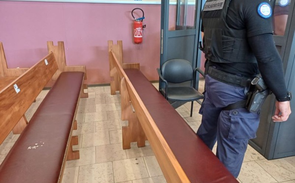 Un vigile jugé pour de lourdes violences