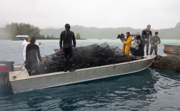 "Poe Rava, histoire d’une perle", un documentaire inédit ce soir sur Polynésie 1ère