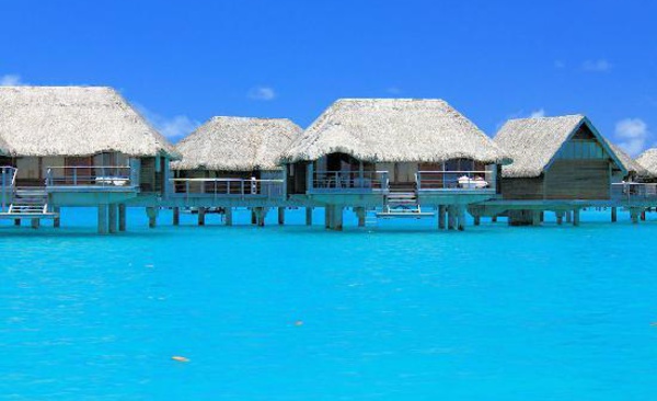 L’autopsie confirme la noyade de Carmel Musgrove