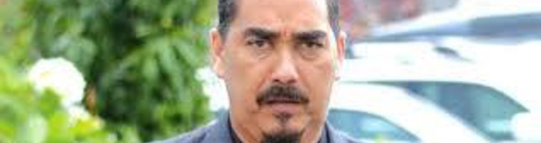 Sylviculture : le ministre salomonais déplacé