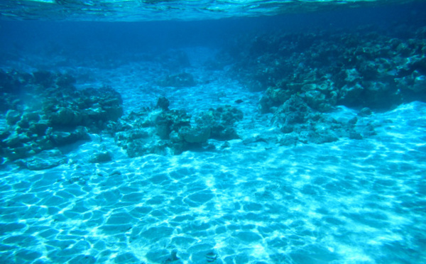 Une expertise collégiale sur les ressources minérales océaniques