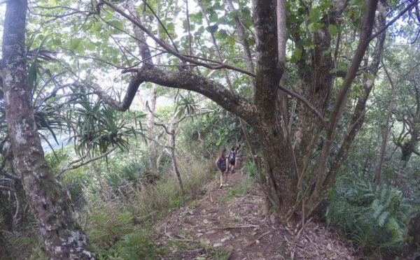 Un randonneur amateur décrit douze itinéraires sur son blog