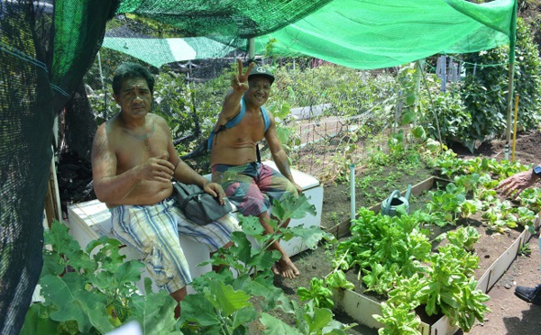 A Pirae : bientôt des faaapu partagés à Tenaho et Fautaua Val