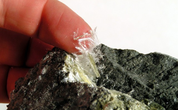 L'amiante au cœur des débats au CGF