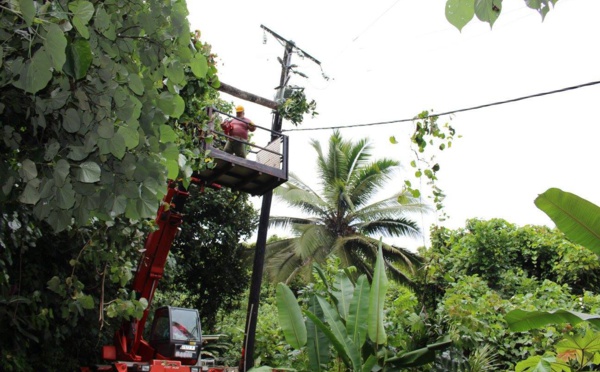 Teva i Uta: Un cocotier provoque une coupure d'électricité et une coupure d'eau
