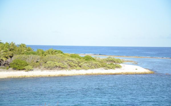 Mana, nouvelle campagne de communication pour promouvoir Tahiti