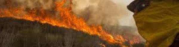 Deux morts dans les incendies en Californie, les pompiers épuisés