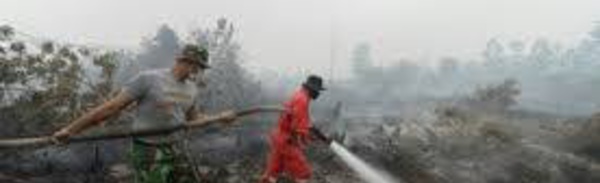 Incendies en Indonésie: sept suspects dont des cadres de sociétés interpellés