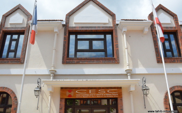 Le CESC croule sous les dossiers et demande au gouvernement de lever le pied