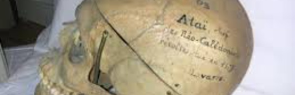 En Nouvelle-Calédonie, le crâne du guerrier Ataï fédère les communautés