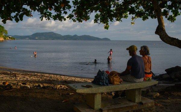 Dans une Martinique marquée par l'exode des jeunes, certains font le choix du retour