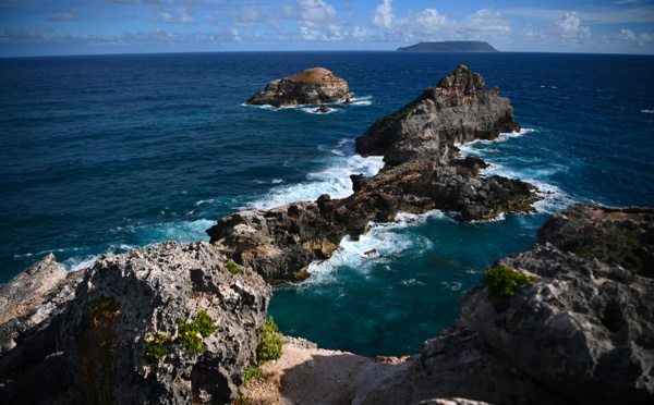 En Guadeloupe, une mission scientifique pour explorer la biodiversité de petites îles de l'archipel