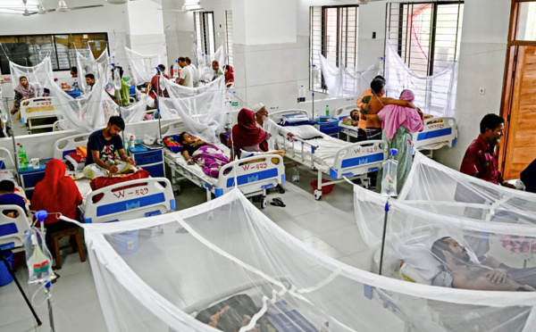 L'OMS lance la lutte mondiale contre la dengue