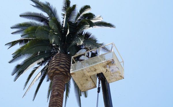 Exposition aux ondes électromagnétiques : le texte d'Antonio Perez recalé au CESC