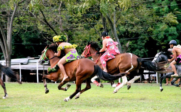 Cinq courses ce dimanche à l'hippodrome de Pirae