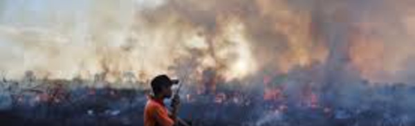 Indonésie: les incendies de forêts pourraient devenir les pires jamais connus