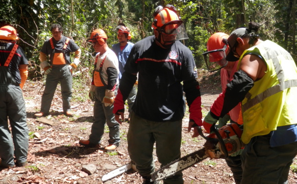 Utilisation de la tronçonneuse et travaux en hauteur : la sécurité avant tout