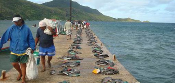 Le rahui de Rapa présenté lors d’un sommet international au Chili
