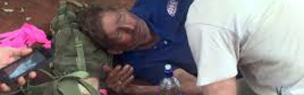 Australie: il survit six jours dans le désert en mangeant des fourmis