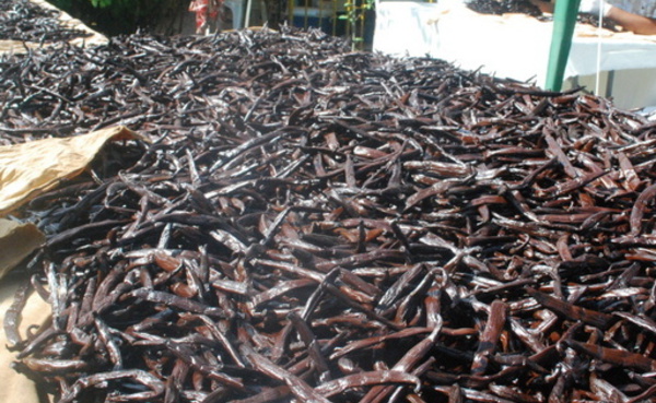 Yolande Wong Lam, l'apporteuse d'affaire "très active" de la Sofipac