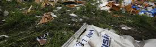MH17: l'Australie ne se laissera pas "intimider" dans sa quête de justice