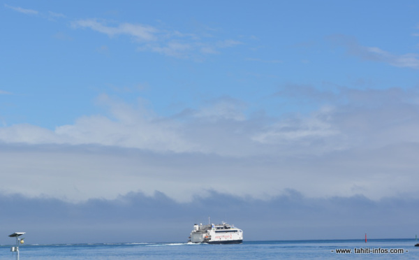 Une baleine heurte l'arrière d'un ferry qui quittait Moorea