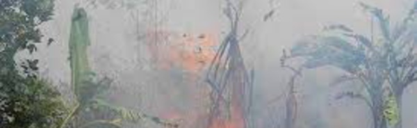 Incendies en Indonésie: l'aide internationale ne suffira pas