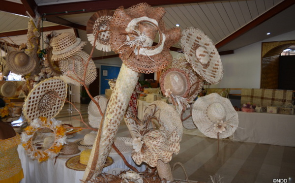 Les Australes tiennent leur salon