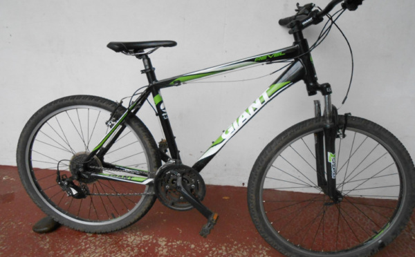 La gendarmerie lance un appel à témoin une semaine après l'agression d'une joggeuse au Tahara'a