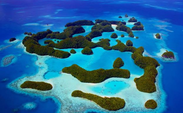 Les Palaos sanctuarisent leur océan