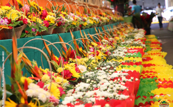 Floralies : la ville de Papeete prend des couleurs