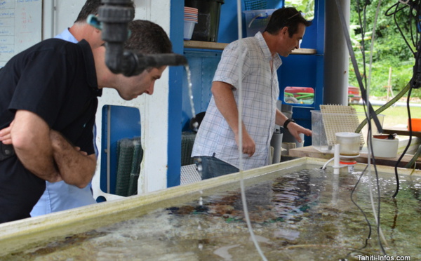 Un centre de technologies sous-marines à Tahiti : le projet HUS se présente