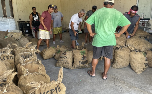 Le prix du coprah de 1re qualité revalorisé au 1er janvier 2025